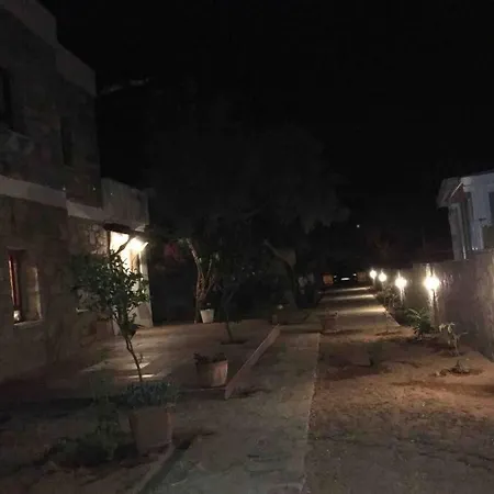 Bodrum Torba Da Tam Muestakil Bahceli Dogal Tas Ev. Willa