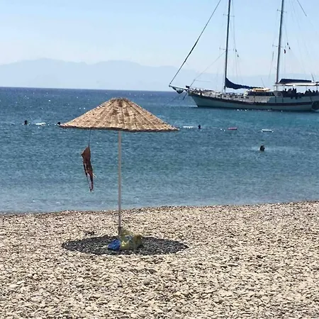 别墅 Bodrum Torba Da Tam Muestakil Bahceli Dogal Tas Ev. *